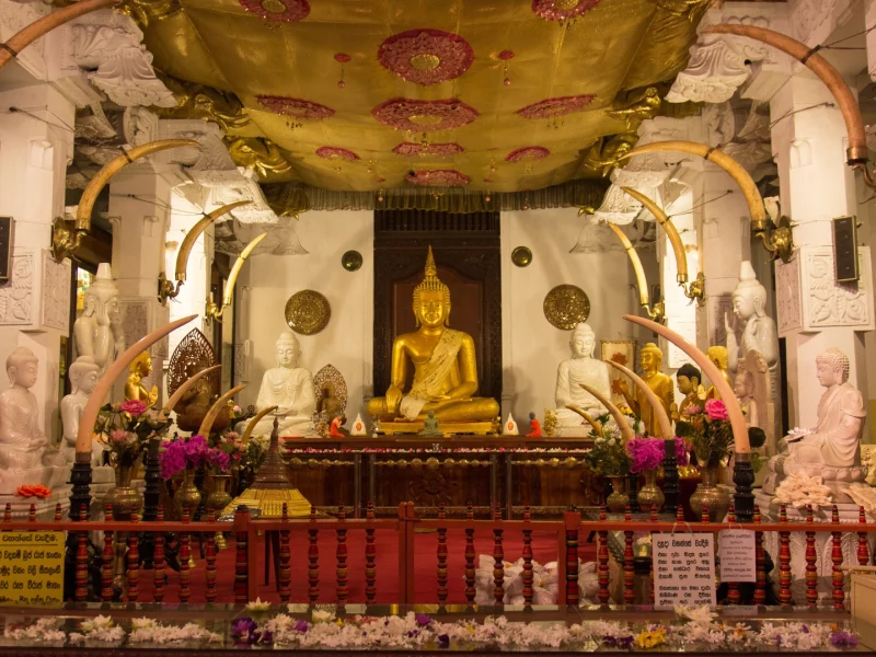 3-Day Sri Lanka Cultural Tour_ Kandy to Colombo (2)