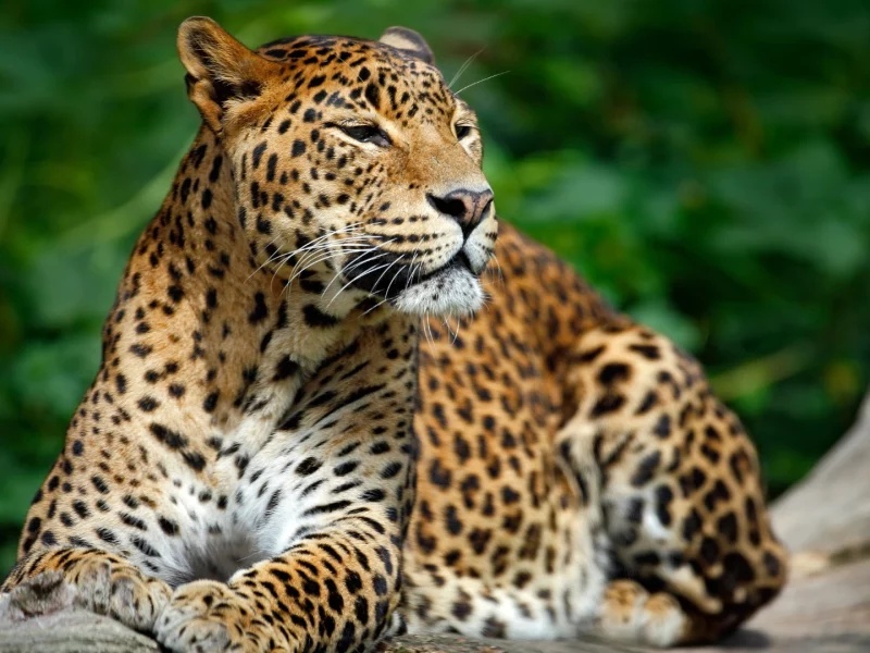 6-Day Sri Lanka Grand Tour (3)