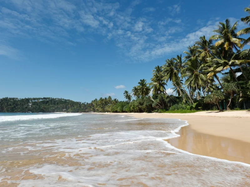 Bentota Beach - canva (3)