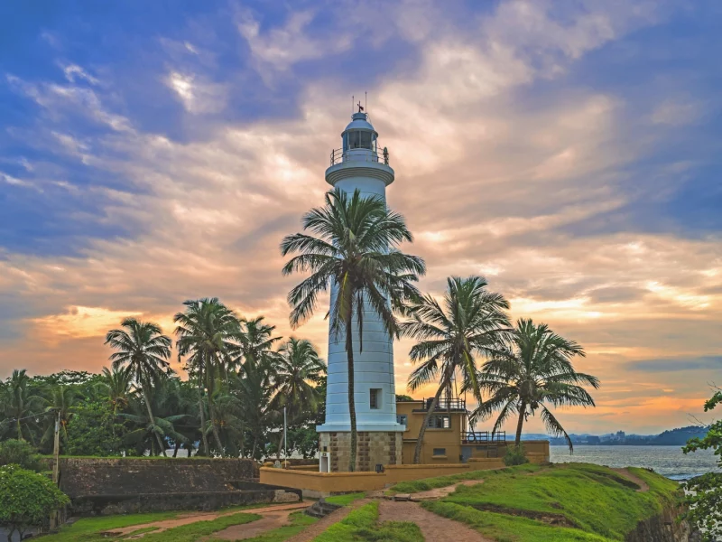 Galle - canva (2)