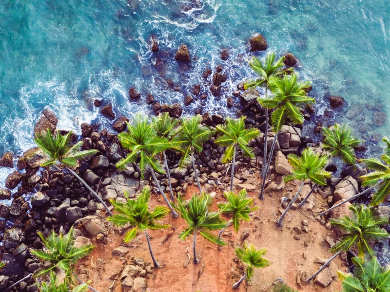 Mirissa- canva (2)