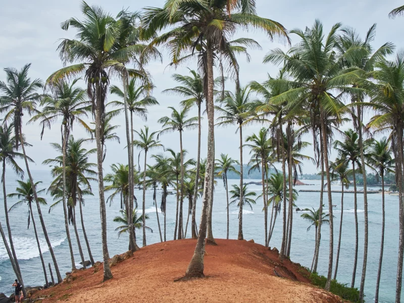 Mirissa- canva
